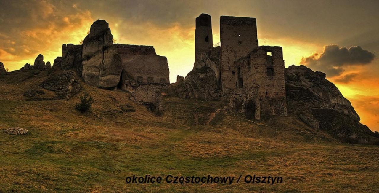 Apartamenty Czestochowa Eu "Parking Gratis" المظهر الخارجي الصورة